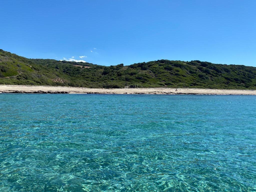 Residence Baia Delle Mimose Badesi Εξωτερικό φωτογραφία